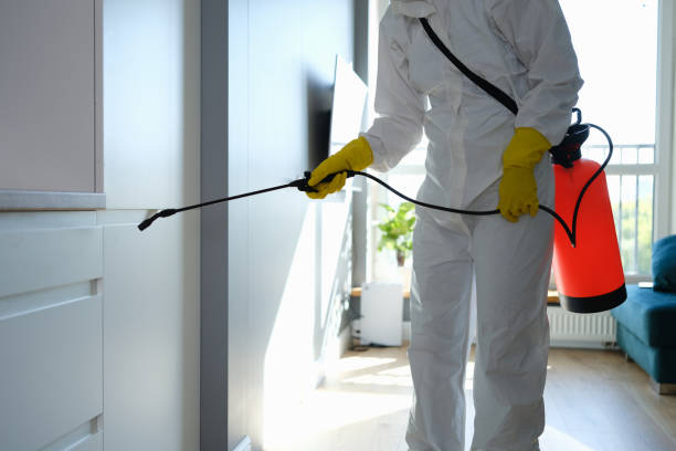 Best Attic Mold Removal  in Gordon, NE