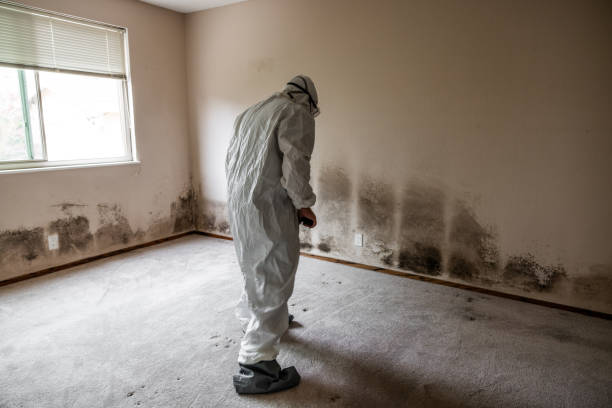 Best Emergency Mold Removal  in Gordon, NE